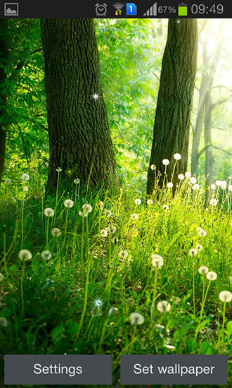Download livewallpaper Forest by Live wallpaper hq for Android.