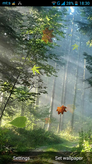 Download livewallpaper Forest by Pro live wallpapers for Android.