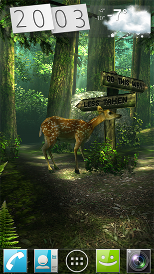 Download Forest HD free 3D livewallpaper for Android phone and tablet.