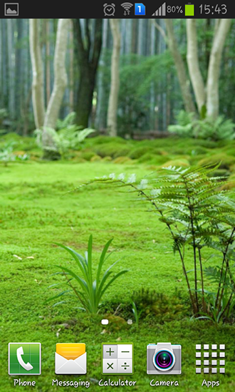 Download Forest landscape free livewallpaper for Android 4.1.2 phone and tablet.