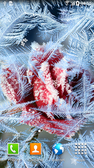Download livewallpaper Frozen flowers for Android.