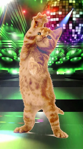Funny pets: dancing and singing apk - free download.