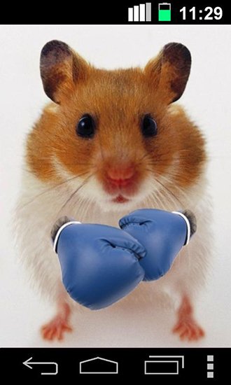 Download Funny hamster: Cracked screen free Animals livewallpaper for Android phone and tablet.