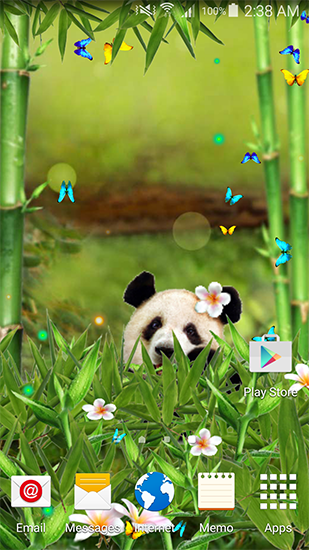 Download Funny panda free livewallpaper for Android 4.2 phone and tablet.