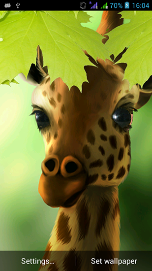 Download livewallpaper Giraffe HD for Android.