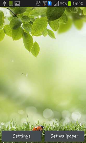 Download livewallpaper Green spring for Android.