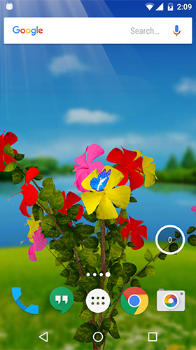 Hibiscus 3D apk - free download.