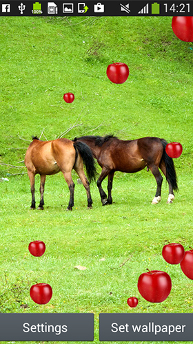 Horses by Latest Live Wallpapers apk - free download.