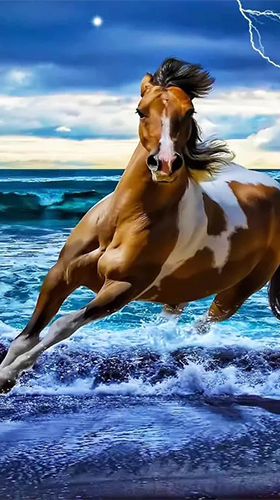 Horses by Pro Live Wallpapers apk - free download.