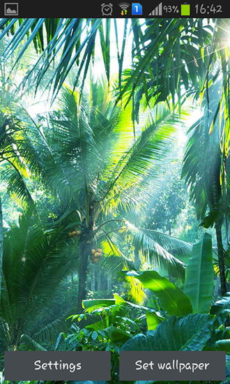 Download livewallpaper Jungle for Android.