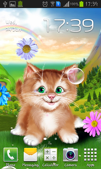 Download Kitten free livewallpaper for Android 4.1.2 phone and tablet.