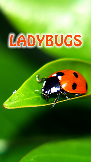 Download Ladybugs free livewallpaper for Android 4.2.2 phone and tablet.