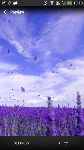 Lavender apk - free download.