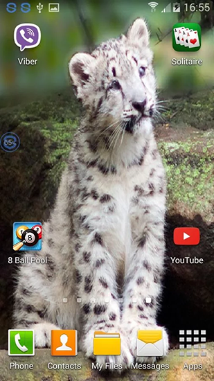 Download livewallpaper Leopards: shake and change for Android.