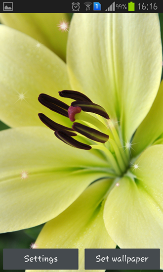 Download livewallpaper Lily for Android.