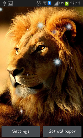 Download livewallpaper Lions for Android.