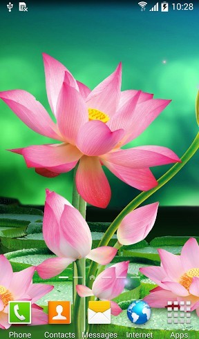 Download Lotus free livewallpaper for Android 4.0.1 phone and tablet.