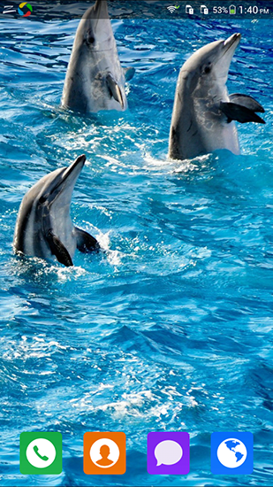 Download Lovely dolphin free livewallpaper for Android 4.4.4 phone and tablet.