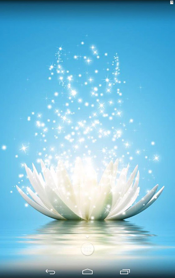 Download Magic water lilies free livewallpaper for Android 4.0.2 phone and tablet.
