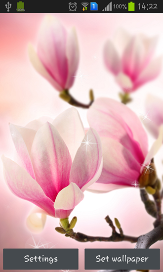 Download Magnolia free Flowers livewallpaper for Android phone and tablet.