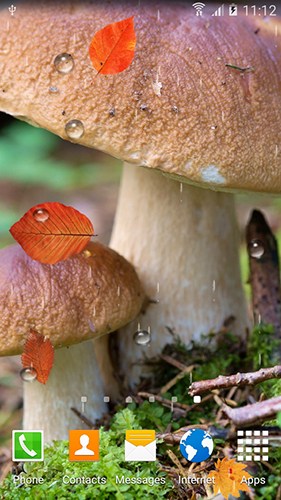 Download livewallpaper Mushrooms by BlackBird Wallpapers for Android.