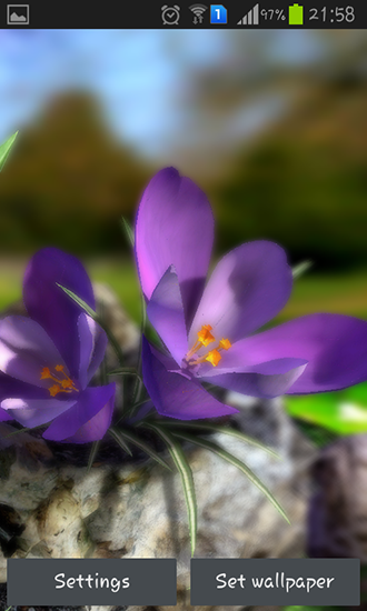 Download livewallpaper Nature live: Spring flowers 3D for Android.