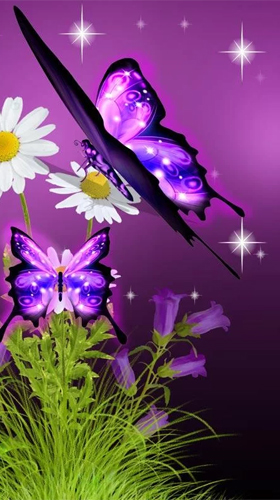 Neon butterfly 3D apk - free download.
