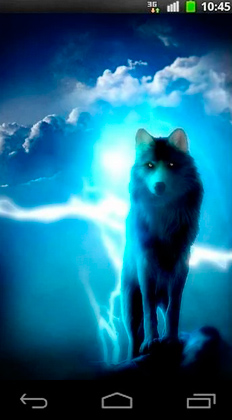 Download livewallpaper Night wolves for Android.