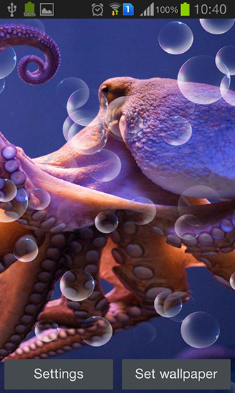 Download livewallpaper Octopus for Android.