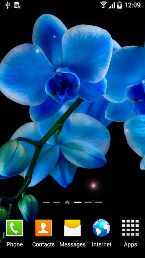 Download livewallpaper Orchids for Android.