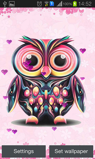 Download livewallpaper Owl for Android.