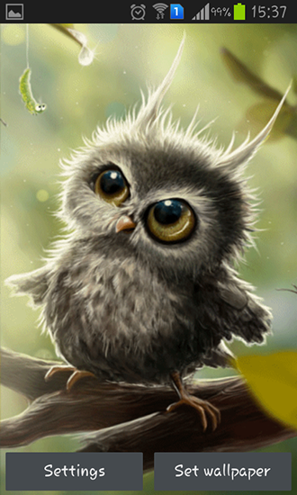 Download Owl chick free livewallpaper for Android 4.4 phone and tablet.