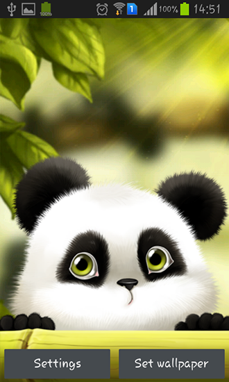 Download Panda free livewallpaper for Android 4.4.2 phone and tablet.
