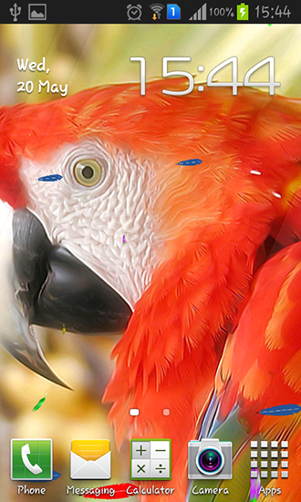 Download livewallpaper Parrot by TTR for Android.