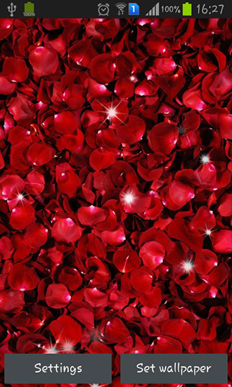 Download Petals free Flowers livewallpaper for Android phone and tablet.