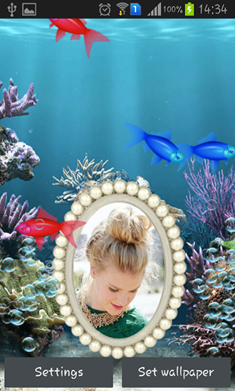 Download livewallpaper Photo aquarium for Android.