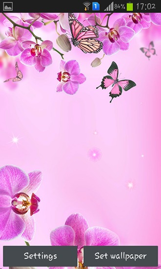 Download livewallpaper Pink flowers for Android.