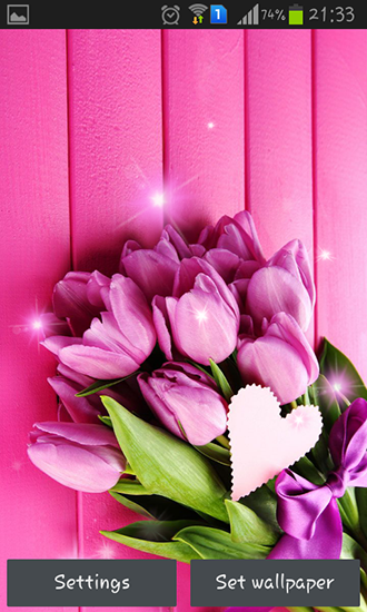 Download livewallpaper Pink tulips for Android.