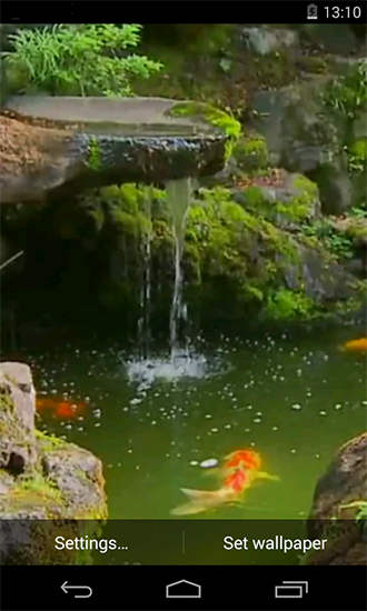 Download livewallpaper Pond with Koi for Android.