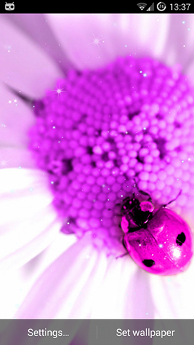 Download livewallpaper Pretty pink for Android.