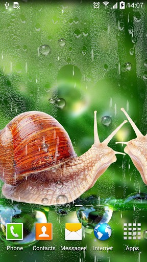 Download Rain free Animals livewallpaper for Android phone and tablet.