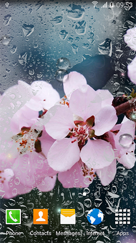 Rainy flowers apk - free download.
