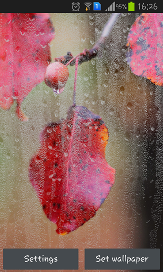 Download livewallpaper Rainy autumn for Android.