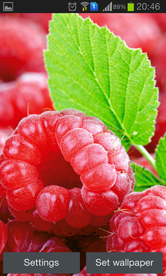 Download livewallpaper Raspberries for Android.