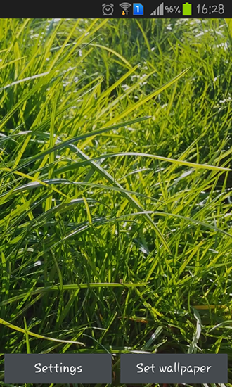Download Real grass free livewallpaper for Android 4.0.4 phone and tablet.