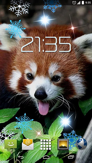 Download livewallpaper Red panda for Android.