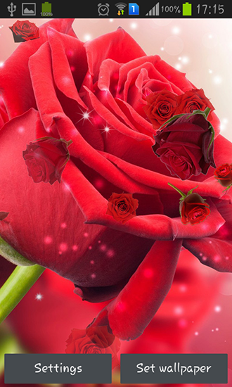 Download Red rose free Flowers livewallpaper for Android phone and tablet.