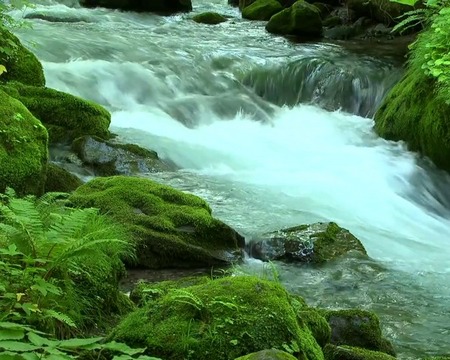 Download River flow free livewallpaper for Android phone and tablet.