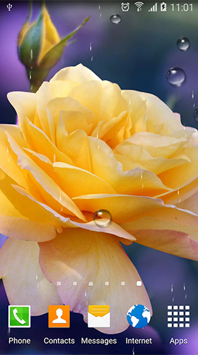 Roses by Live Wallpapers 3D apk - free download.
