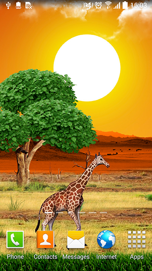 Download Safari free Animals livewallpaper for Android phone and tablet.